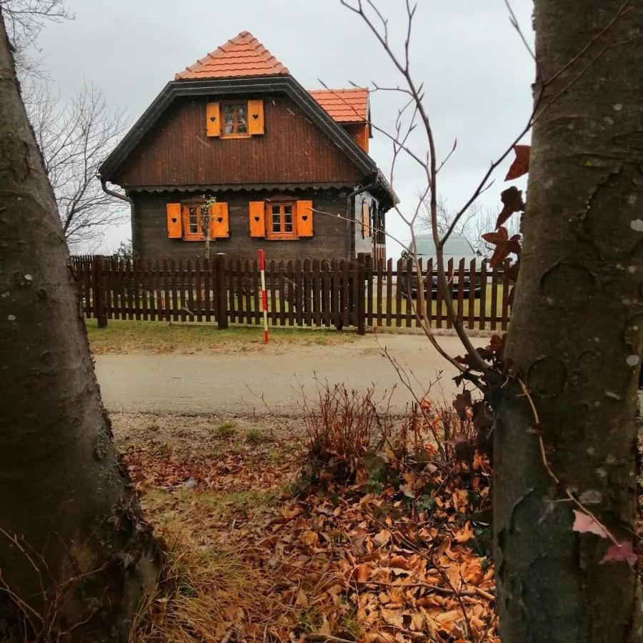 Kuca Za Odmor Poljanica Okicka Villa Jastrebarsko Eksteriør bilde